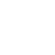 Daily Dose